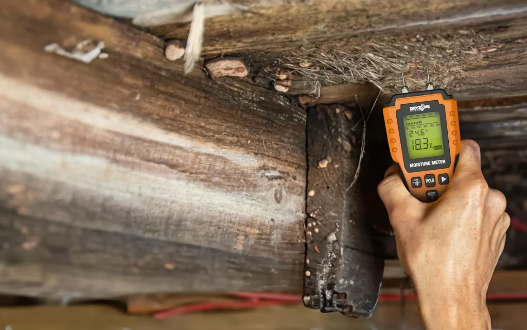 Damp Meter